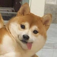 افتخار احمد avatar