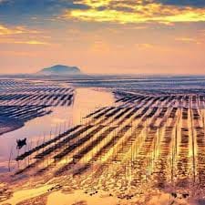 سدرہ امین avatar